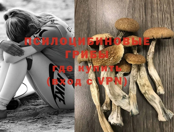 таблы Алзамай