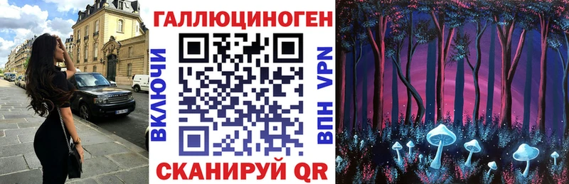 Галлюциногенные грибы мицелий  купить наркоту  Тогучин 